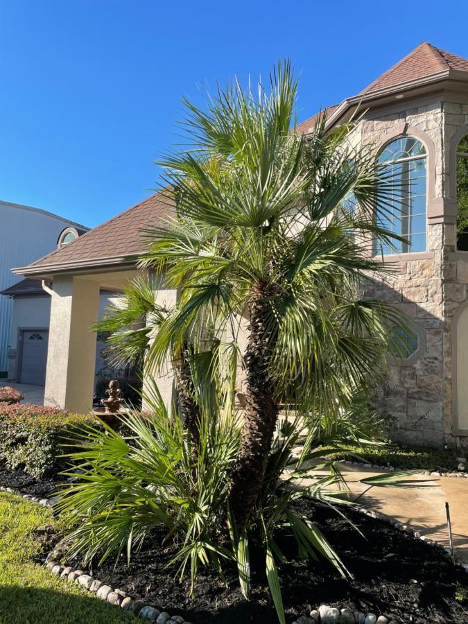 Luxuria Mini-Mansion Near Houston Downtown Villa Buitenkant foto